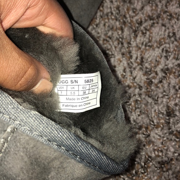 Gray Ugg Boots (short) - Picture 3 of 4
